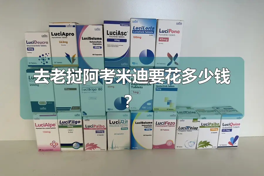 去老挝阿考米迪要花多少钱？